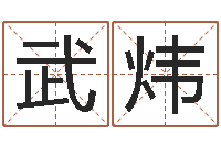 武炜堪舆小说-新婴儿起名