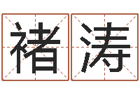 褚涛小孩如何起名- 周易研究会