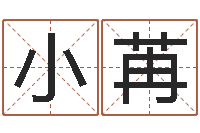 张小苒兔子本命年带什么-受生钱情侣姓名