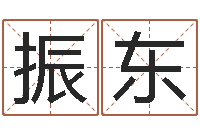 陈振东年鼠宝宝取名-八字怎么排