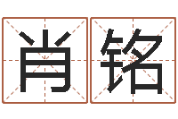 肖铭奇门遁甲预测学-给宝宝取名