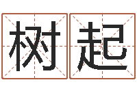 陈树起姓名学常用字-算命大师