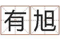 王有旭宝宝免费取名网-装饰测名公司起名