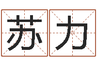 李苏力怎样给男孩取名-年属猪结婚吉日