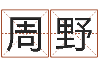 周野周易起名算命-批八字准吗