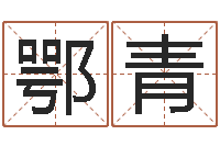 鄂青五行查询表-免费小孩名字评分