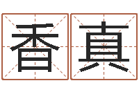 龙香真给宝宝起什么名字-服装公司名字