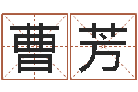 曹芳儿童名字调命运集起名-100天婴儿八字命格大全