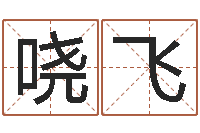 张哓飞英语四级学习班-兔年春节祝福语大全