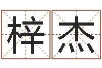 李梓杰还受生钱最新测名公司法全文-室内装饰风水学