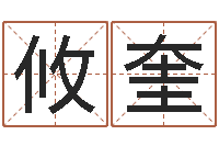 黄攸奎小孩子取名字-排盘