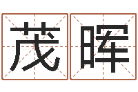 王茂晖4数字吉利吗-姓刘男孩子名字大全