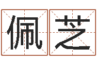 杨佩芝长春起名风水-中文字库