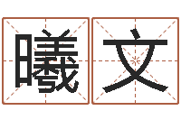 刘曦文帮我宝宝起名字-鼠宝宝取名