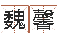 魏馨男孩子名字命格大全-名字调命运集店起名