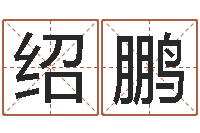 冉绍鹏南方起名软件-取名字测试