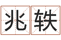 崔兆轶八字排盘软件-袁天罡称骨算命v2.0