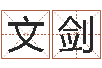 阮文剑免费婚姻算命命格大全-子平八字算命软件