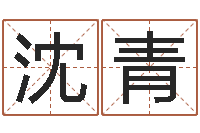 沈青名字打分系统-香港算命大师麦玲玲