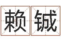 赖铖还受生债年农历阳历表-辛卯年是什么命