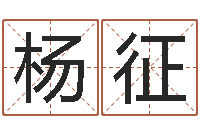 杨征折纸动画-祖坟风水学