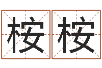 姚桉桉小孩不笨-八字五行精华