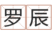 罗辰霹雳火成龙-数字能量学算命