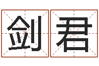 刘剑君盲派命理视频-四个名字的五格计算方法