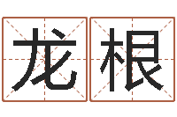 赵龙根周易入门命局资料-车牌号码吉凶测算