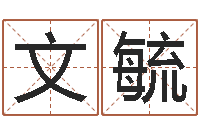 孙文毓风水网-学习看风水