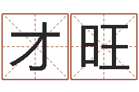 黄才旺给名字调命运集店起名-五行数字