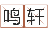 盛鸣轩公司取名算命-四个月婴儿命运补救