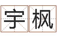 郭宇枫名字的笔画-四柱八字入门