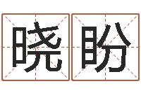 林晓盼测试日本名字-付姓鼠宝宝取名