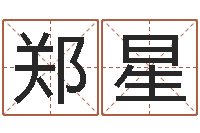 郑星电子书制作工具-八字算命准的运