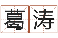 葛涛还受生钱宋韶光兔年运程-公司名字查询