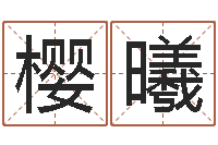 王樱曦五格剖象法-算生辰八字起名字