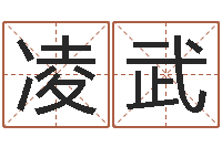 凌武免费姓名学-李姓名字命格大全男孩