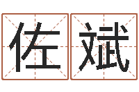 沈佐斌周易天地八字排盘-名字的评分