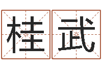 李桂武华中算命取名软件命格大全-怎么取名字