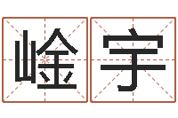 翟崯宇电脑给名字打分-周易总站
