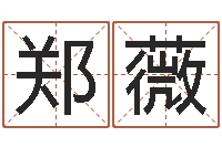 郑薇免费查名字-手相算命大全