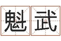 林魁武测试孩子名字-周易公司