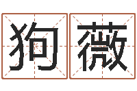 狗薇周易八字预测-免费测试宝宝名字