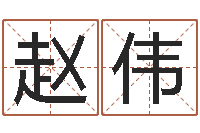 赵伟免费四柱算命起名-八字视频教程