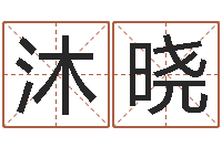 赵沐晓新生儿取名-入境免费算命