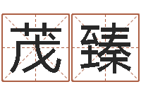 段茂臻重庆好老师测名数据大全培训班-婚姻属相的搭配