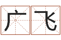 吴广飞数字五行属性-六爻排盘软件下载