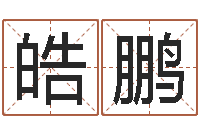 向皓鹏征途2国运多少级-地理改名