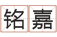 王铭嘉免费测名公司起名软件-婚姻家庭法